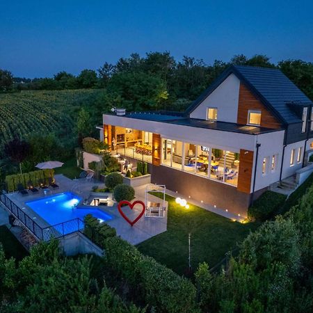 Riverside Pool Villa-Sremski Karlovci Exterior foto