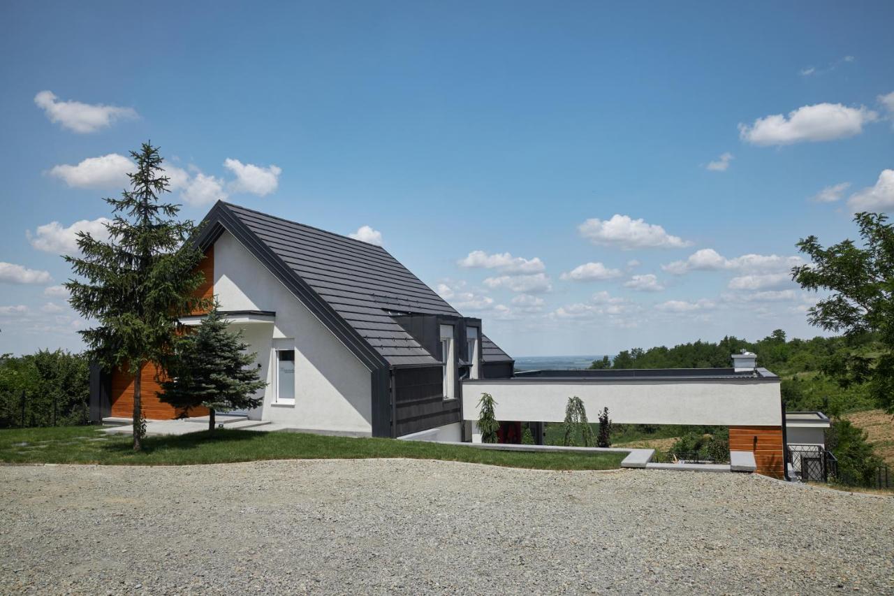 Riverside Pool Villa-Sremski Karlovci Exterior foto