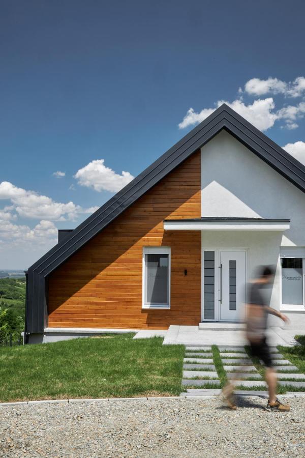 Riverside Pool Villa-Sremski Karlovci Exterior foto