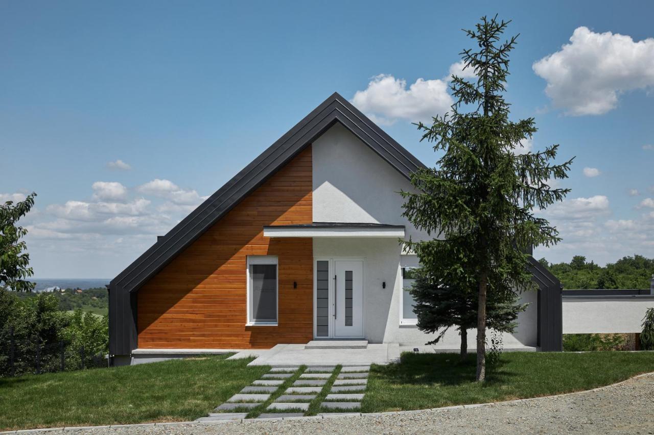Riverside Pool Villa-Sremski Karlovci Exterior foto