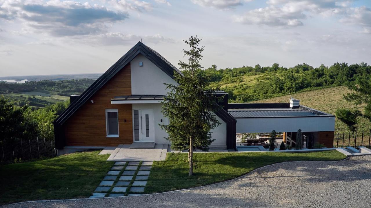 Riverside Pool Villa-Sremski Karlovci Exterior foto